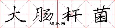 袁强大肠杆菌楷书怎么写