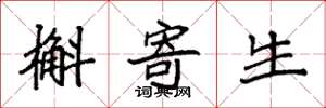 袁强槲寄生楷书怎么写