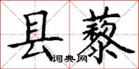 丁谦县藜楷书怎么写