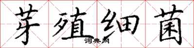 丁谦芽殖细菌楷书怎么写