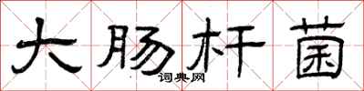曾庆福大肠杆菌隶书怎么写