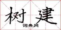 袁强树建楷书怎么写