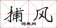 袁强捕风楷书怎么写