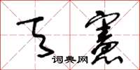 王冬龄天宪草书怎么写