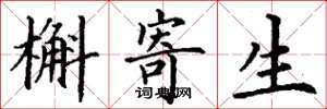 丁谦槲寄生楷书怎么写
