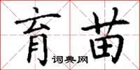 丁谦育苗楷书怎么写