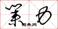 王冬龄业力草书怎么写
