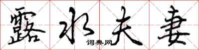 曾庆福露水夫妻行书怎么写