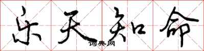 曾庆福乐天知命行书怎么写