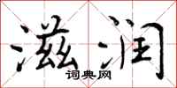 曾庆福滋润行书怎么写