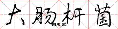 曾庆福大肠杆菌行书怎么写