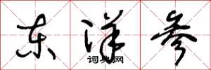王冬龄东洋参草书怎么写