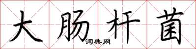荆霄鹏大肠杆菌楷书怎么写