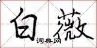 曾庆福白薇行书怎么写