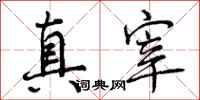 曾庆福真宰行书怎么写