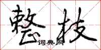 曾庆福整枝行书怎么写