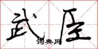 曾庆福武臣行书怎么写