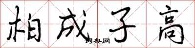 曾庆福柏成子高行书怎么写