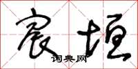 王冬龄宸垣草书怎么写