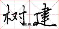 曾庆福树建行书怎么写