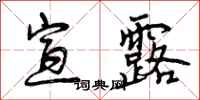曾庆福宣露行书怎么写