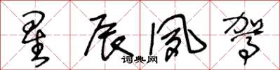 王冬龄星辰夙驾草书怎么写