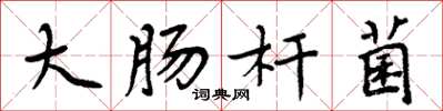 周炳元大肠杆菌楷书怎么写