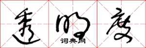 王冬龄透明度草书怎么写
