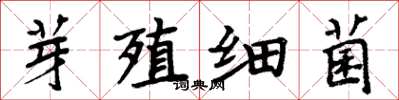 周炳元芽殖细菌楷书怎么写