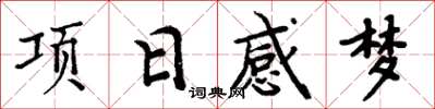 周炳元项日感梦楷书怎么写
