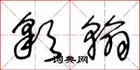 王冬龄彩翰草书怎么写