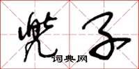 王冬龄兜子草书怎么写
