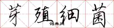 田英章芽殖细菌行书怎么写