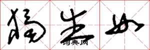 刘少英独生女草书怎么写