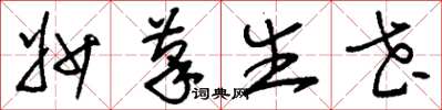 刘少英妙笔生花草书怎么写