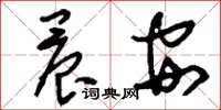 刘少英晨安草书怎么写
