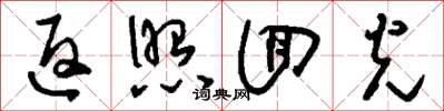 刘少英返照回光草书怎么写