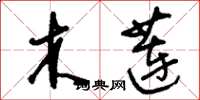 刘少英木莲草书怎么写