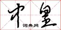 刘少英中皇草书怎么写
