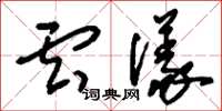 刘少英云仪草书怎么写