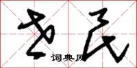 刘少英世民草书怎么写