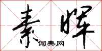 钱沛云素晖行书怎么写