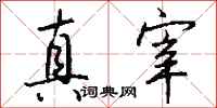 钱沛云真宰行书怎么写