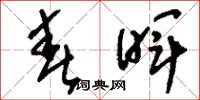 刘少英春晖草书怎么写