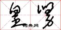 刘少英皇舅草书怎么写