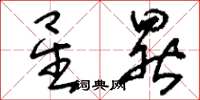 刘少英星晷草书怎么写