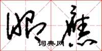 刘少英昭应草书怎么写