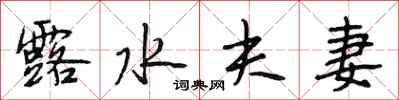 段相林露水夫妻行书怎么写