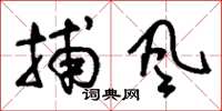 刘少英捕风草书怎么写