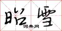 段相林昭雪行书怎么写